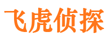 新野市婚姻调查